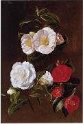 unknow artist Floral, beautiful classical still life of flowers 028 France oil painting reproduction